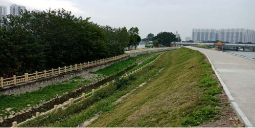 治水攻堅戰(zhàn)｜新華街水環(huán)境治理進(jìn)行時，12月13日戰(zhàn)報及環(huán)境檢測服務(wù)動態(tài)